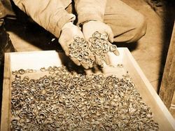 Foto Ini Terlihat Biasa, Tapi Faktanya Bikin Kaget dan Merinding