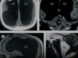 Foto Ini Terlihat Biasa, Tapi Faktanya Bikin Kaget dan Merinding