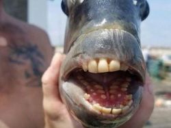 Foto Ini Terlihat Biasa, Tapi Faktanya Bikin Kaget dan Merinding