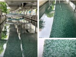 Foto Ini Terlihat Biasa, Tapi Faktanya Bikin Kaget dan Merinding