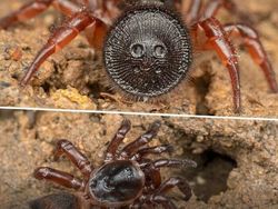 Foto Ini Terlihat Biasa, Tapi Faktanya Bikin Kaget dan Merinding