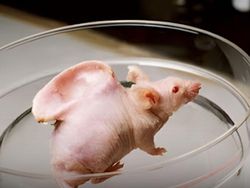 Foto Ini Terlihat Biasa, Tapi Faktanya Bikin Kaget dan Merinding