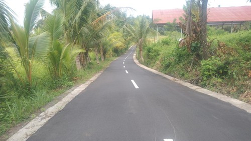 (Ilustrasi) Sejumlah ruas jalan desa di Tabanan diusulkan perubahan status menjadi jalan kabupaten. (Krisna Pradipta/detikBali)