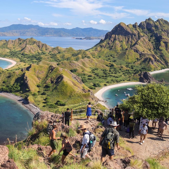 Komodo Terancam, Kuota Wisata Dibatasi 1.000 per Hari