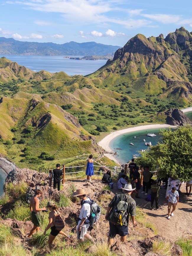 Komodo Terancam, Kuota Wisata Dibatasi 1.000 per Hari