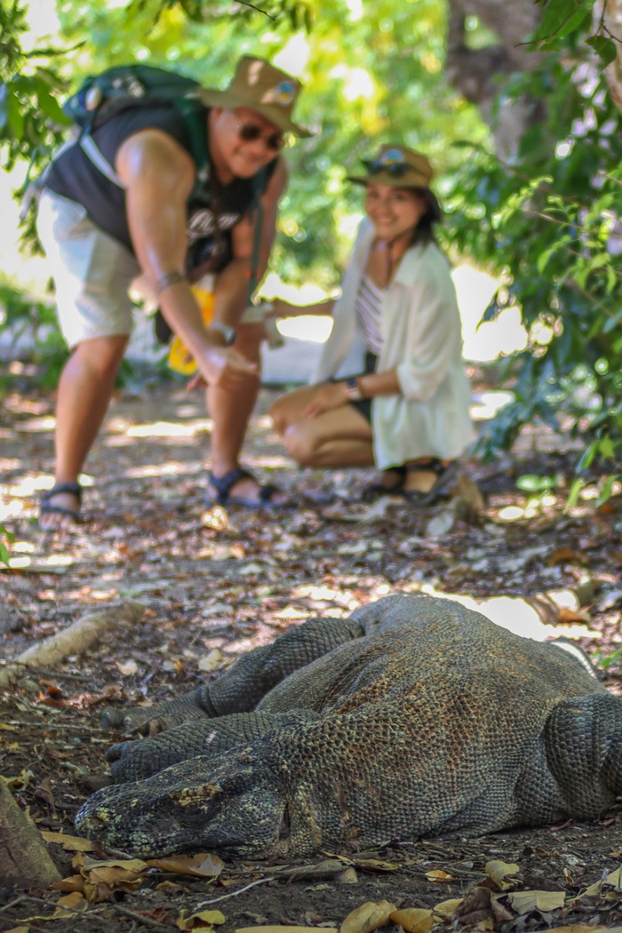 Komodo Terancam, Kuota Wisata Dibatasi 1.000 per Hari Sejumlah wisatawan memasuki dermaga Pulau Padar di Taman Nasional Komodo (TNK), Manggarai Barat, Nusa Tenggara Timur (NTT), Minggu (12/4/2026). Balai TNK menerapkan kebijakan kuota 1.000 orang wisatawan per hari masuk ke kawasan itu sejak 1 April 2026 sebagai upaya menjaga keseimbangan antara aktivitas wisata dan kelestarian alam, sekaligus meningkatkan kualitas destinasi wisata. ANTARA FOTO/Gecio Viana/app/nym.