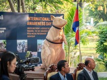 Di Kamboja Ada Patung Pahlawan yang Unik, Seekor Tikus Raksasa