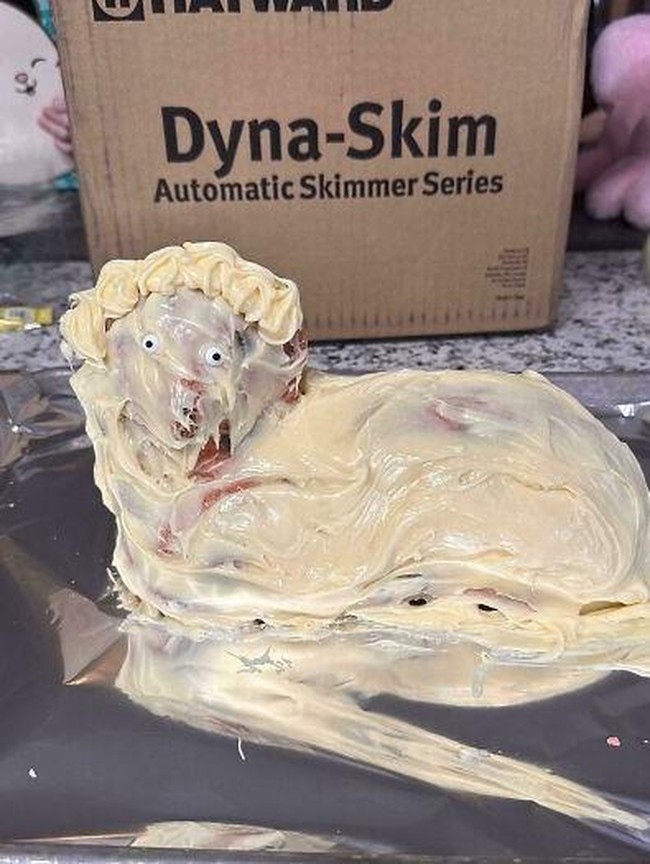 Ekspektasi vs Realita! 10 Kegagalan Baking yang Hasilnya Bikin Ngakak