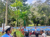 Pilu Warga Cibiuk Garut, Tewas Tersengat Listrik Saat Tebang Pohon