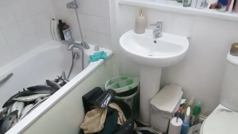 Nekat Olah Ikan Ilegal di Apartemen, Pria Ini Didenda Rp 52 Juta!