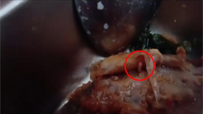 Siswa SDN 003 Lampa temukan ulat dalam ayam dan saus menu makanan bergizi gratis. Pihak pengelola dapur MBG sudah meminta maaf.