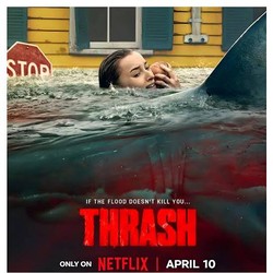 Thrash: Hiu di Tengah Badai