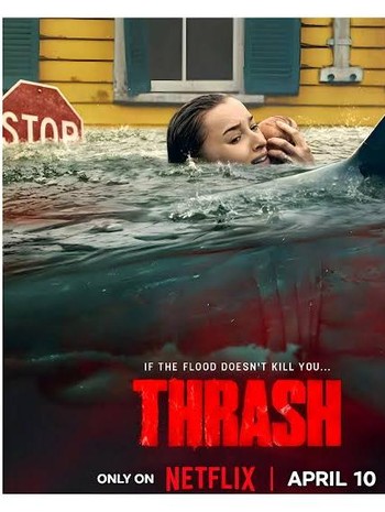 Thrash: Hiu di Tengah Badai