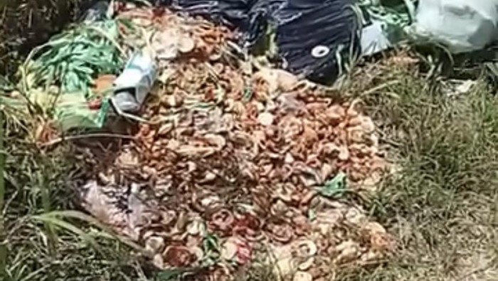 Tumpukan sampah diduga sisa MBG menumpuk di pinggir jalan Sukabumi