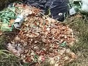 Benarkah Sampah Liar di Cisaat Sukabumi Limbah MBG? Ini Kata DLH