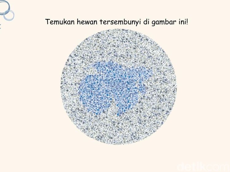 Coba Tebak Hewan yang Sembunyi di Pola Tes Buta Warna Ini, Jangan Sampai Siwer