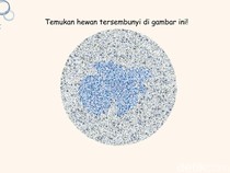 Coba Tebak Hewan yang Sembunyi di Pola Tes Buta Warna Ini, Jangan Sampai Siwer