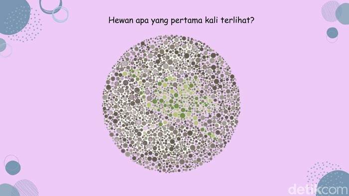Coba Tebak Hewan yang 'Sembunyi' di Pola Tes Buta Warna Ini, Jangan Sampai Siwer