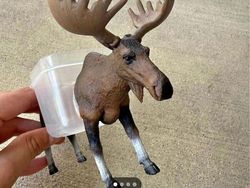 Barang Aneh di Facebook Marketplace Bikin Kaget dan Melotot