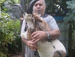 Barang Aneh di Facebook Marketplace Bikin Kaget dan Melotot