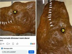 Barang Aneh di Facebook Marketplace Bikin Kaget dan Melotot