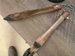 Barang Aneh di Facebook Marketplace Bikin Kaget dan Melotot