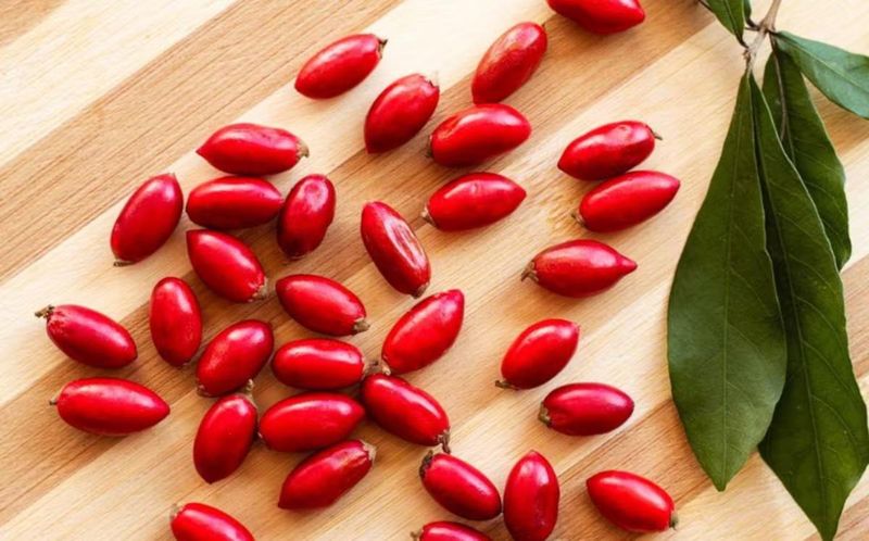 Buah 'Ajaib' Ini Berpotensi Bantu Pasien Kemoterapi Makan Lebih Nyaman