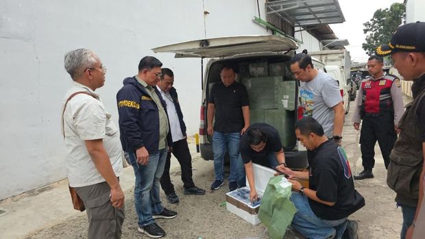 Dittipideksus Bareskrim Polri membongkar dugaan penyelundupan HP impor ilegal. Dittipideksus Bareskrim menyita ribuan HP ilegal usai menggeledah 5 lokasi. (dok Polri)