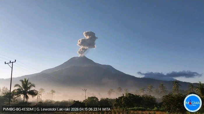 Gunung Lewotobi Laki-laki di Kabupaten Flores Timur, Nusa Tenggara Timur (NTT), meletus lagi pagi ini, Rabu (15/04/2026). (PVMBG)