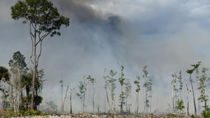 A helicopter flies as first responders with the Florida Fish and Wildlife Conservation Commission, Collier County Sheriff’s Office, and the U.S. Forest Service work to contain a brush fire at Picayune Strand State Forest in Naples, Florida, U.S., April 14, 2026. REUTERS/Octavio Jones
