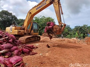 Polisi Musnahkan 27 Ton Bawang Merah di Batam, Akan Diselundupkan ke Tembilahan