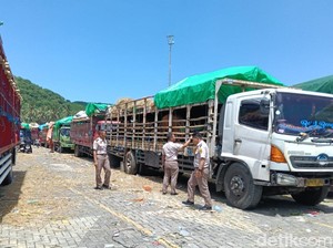 Jelang Idul Adha, NTB Butuh Tambahan Kapal Angkut Sapi
