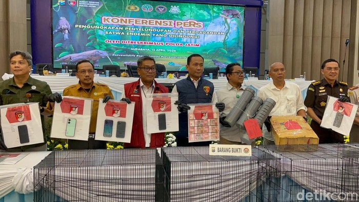 Penyelundupan komodo yang digagalkan Polda Jatim