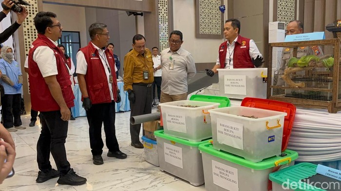 Penyelundupan komodo yang digagalkan Polda Jatim