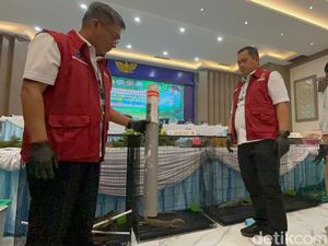 Segini Harga Komodo Per Ekor yang Diselundupkan Lewat Paralon