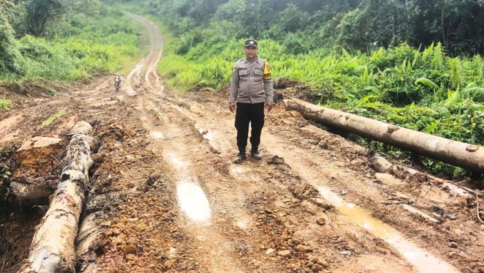 Personel kepolisian meninjau jembatan yang sempat ambruk di Malinau. (dok BPJN Kaltara)