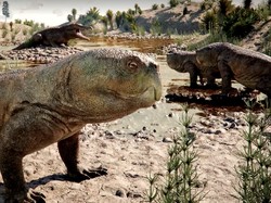 Video: Reptil Berparuh Seperti Beo Berusia 230 Juta Tahun Ditemukan di Brasil