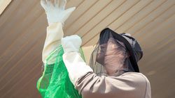 Ahn Hyo Seop Slow Living di Desa Jadi Petani