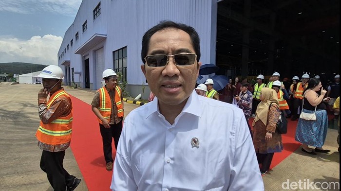 Wamen Perindustrian, Faisol Riza