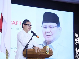 Wamendagri Dorong Pemda Manfaatkan PSN untuk Dongkrak Ekonomi Daerah
