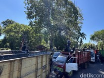 Ratusan Truk Sampah Kepung Kantor Gubernur Bali, Massa Demo Ajukan 2 Tuntutan