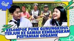 Video: Keren! Kelompok Punk Gunungkidul Terjun ke Sawah Kembangkan Pertanian Organik
