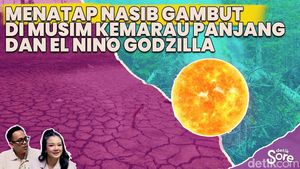 Video: Pakar Lingkungan Universitas Palangka Raya Buka-bukaan Soal Tata Kelola Gambut di Indonesia!