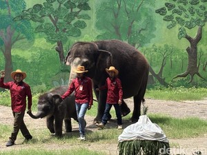 Tunggang Gajah Sudah Dihentikan di KBS, Ini Wahana Penggantinya