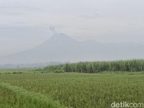 Gunung Semeru Erupsi 2 Kali, Semburkan Abu Setinggi 1 Km