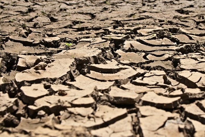 Ilustrasi kekeringan sebagai dampak El Nino. (Freepik)