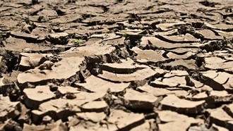 Ancaman Super El Nino Bisa Bikin Bumi Makin Mendidih