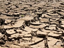 Pakar Unair Beber Tips Hadapi El Nino