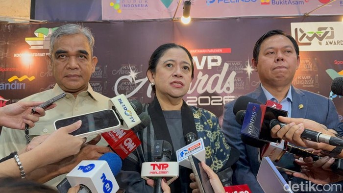 Ketua DPR RI Puan Maharani (tengah). (Anggi/detikcom)
