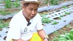 Narji Kini Jadi Juragan Lahan, Jago Tanam Kangkung hingga Melon Manis!